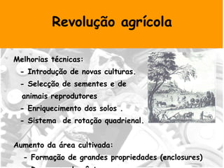 Revolução agrícola Melhorias técnicas:  - Introdução de novas culturas. - Selecção de sementes e de  animais reprodutores - Enriquecimento dos solos .  - Sistema  de rotação quadrienal. Aumento da área cultivada: - Formação de grandes propriedades (enclosures) - Drenagem de pântanos 