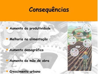 Consequências Aumento da produtividade Melhoria na alimentação Aumento demográfico Aumento da mão de obra Crescimento urbano 