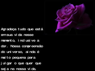 Agradeça tudo que está em sua vida nesse momento, inclusive a dor. Nossa compreensão do universo, ainda é muito pequena para julgar o que quer que seja na nossa vida. 