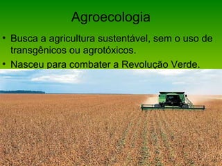 Agroecologia
• Busca a agricultura sustentável, sem o uso de
transgênicos ou agrotóxicos.
• Nasceu para combater a Revolução Verde.
 