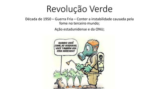 Revolução Verde
Década de 1950 – Guerra Fria – Conter a instabilidade causada pela
fome no terceiro mundo;
Ação estadunidense e da ONU;
 