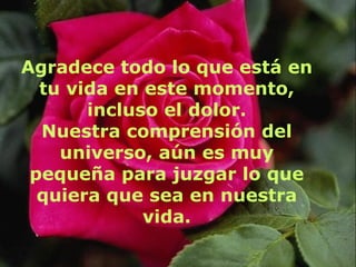 Agradece todo lo que está en tu vida en este momento, incluso el dolor. Nuestra comprensión del universo, aún es muy pequeña para juzgar lo que quiera que sea en nuestra vida. 