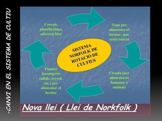 Nova llei ( Llei de Norkfolk )
 