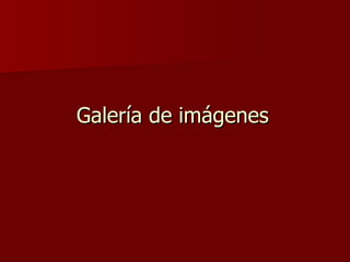 Galería de imágenes 