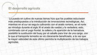El desarrollo agrícola 
La puesta en cultivo de nuevas tierras hizo que los pueblos estuviesen 
más predispuestos a la introducción de innovaciones tecnológicas. Así, 
mientras en el sur se seguía cultivando con el arado romano, en el norte 
se introdujo durante el siglo XI el arado de ruedas y la vertedera; esto, 
combinado con el yugo frontal, la collera y la aparición de la herradura, 
posibilitó la sustitución del buey por el caballo para tirar de una carga, con 
lo que el transporte terrestre se vio claramente beneficiado, a la vez que 
la mayor velocidad de este último permitía la multiplicación de los trabajos 
agrícolas. 
 