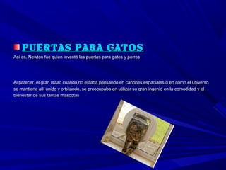 PUERTAS PARA GATOS
Así es, Newton fue quien inventó las puertas para gatos y perros




Al parecer, el gran Isaac cuando no estaba pensando en cañones espaciales o en cómo el universo
se mantiene allí unido y orbitando, se preocupaba en utilizar su gran ingenio en la comodidad y el
bienestar de sus tantas mascotas
 