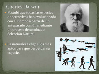 Revolución darwiniana | PPT