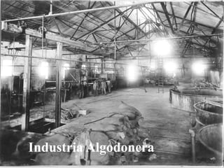 Industria Algodonera
 