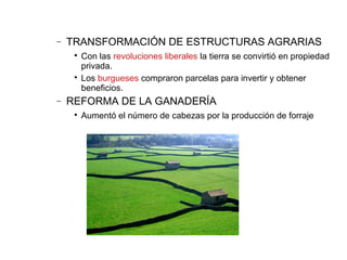 − TRANSFORMACIÓN DE ESTRUCTURAS AGRARIAS

Con las revoluciones liberales la tierra se convirtió en propiedad
privada.

Los burgueses compraron parcelas para invertir y obtener
beneficios.
− REFORMA DE LA GANADERÍA

Aumentó el número de cabezas por la producción de forraje
 