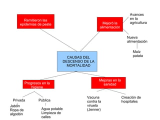 CAUSAS DEL
DESCENSO DE LA
MORTALIDAD
Remitieron las
epidemias de peste Mejoró la
alimentación
Avances
en la
agricultura
Nueva
alimentación
Maíz
patata
Progresos en la
higiene
Privada Pública
Agua potable
Limpieza de
calles
Jabón
Ropa de
algodón
Mejoras en la
sanidad
Vacuna
contra la
viruela
(Jenner)
Creación de
hospitales
 
