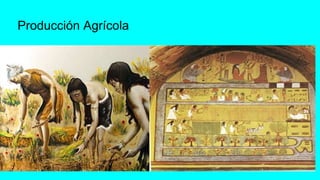 Producción Agrícola
 