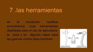 7 .las herramientas
en la revolución neolítica
encontramos unas herramientas
diseñadas para el uso de agricultura,
la caza y en algunos casos para
las guerras contra otros hombres
 