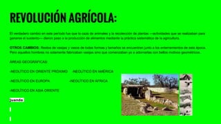 REVOLUCIÓN AGRÍCOLA:
El verdadero cambio en este período fue que la caza de animales y la recolección de plantas —actividades que se realizaban para
ganarse el sustento— dieron paso a la producción de alimentos mediante la práctica sistemática de la agricultura.
OTROS CAMBIOS: Restos de vasijas y vasos de todas formas y tamaños se encuentran junto a los enterramientos de esta época.
Pero aquellos hombres no solamente fabricaban vasijas sino que comenzaban ya a adornarlas con bellos motivos geométricos.
ÁREAS GEOGRÁFICAS:
-NEOLÍTICO EN ORIENTE PRÓXIMO -NEOLÍTICO EN AMÉRICA
-NEOLÍTICO EN EUROPA -NEOLÍTICO EN ÁFRICA
-NEOLÍTICO EN ASIA ORIENTE
juanda
 