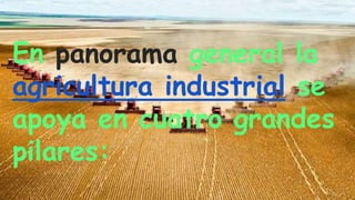En panorama general la
agricultura industrial se
apoya en cuatro grandes
pilares:
 