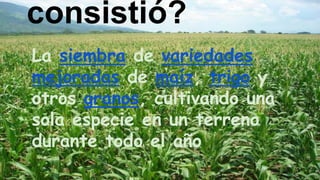 consistió?
La siembra de variedades
mejoradas de maíz, trigo y
otros granos, cultivando una
sola especie en un terreno
durante todo el año
 
