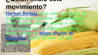 Norman Borlaug inicio esto con ayuda de
organizaciones agrícolas internacionales,
quien durante años se dedicó a realizar
cruces selectivos de plantas de maíz,
arroz y trigo en países en vías de
desarrollo, hasta obtener las más
productivas.
¿Quien inició este
movimiento?
 