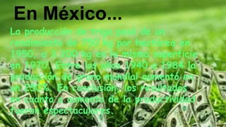 La producción de trigo pasó de un
rendimiento de 750 kg por hectárea en
1950, a 3.200 kg en la misma superficie
en 1970. Entre los años 1940 a 1984 la
producción de grano mundial aumentó en
un 250%. En conclusión, los resultados
en cuanto a aumento de la productividad
fueron espectaculares.
En México...
 