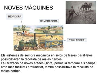 NOVES MÀQUINES
SEGADORA
SEMBRADORA
TRILLADORA
Els sistemes de sembra mecànica en solcs de fileres paral·leles
possibilitaven la recollida de males herbes.
La utilització de noves arades (llibre) permetia remoure els camps
amb més facilitat i profunditat, també possibilitava la recollida de
males herbes.
 