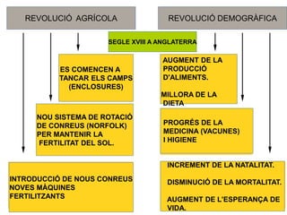 SEGLE XVIII A ANGLATERRA
ES COMENCEN A
TANCAR ELS CAMPS
(ENCLOSURES)
NOU SISTEMA DE ROTACIÓ
DE CONREUS (NORFOLK)
PER MANTENIR LA
FERTILITAT DEL SOL.
INTRODUCCIÓ DE NOUS CONREUS
NOVES MÀQUINES
FERTILITZANTS
REVOLUCIÓ AGRÍCOLA REVOLUCIÓ DEMOGRÀFICA
INCREMENT DE LA NATALITAT.
DISMINUCIÓ DE LA MORTALITAT.
AUGMENT DE L'ESPERANÇA DE
VIDA.
AUGMENT DE LA
PRODUCCIÓ
D'ALIMENTS.
MILLORA DE LA
DIETA
PROGRÉS DE LA
MEDICINA (VACUNES)
I HIGIENE
 