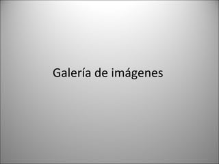 Galería de imágenes

 