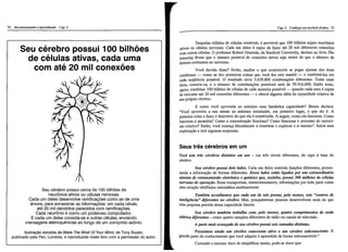 Revolucionando o aprendizado 