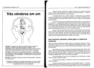 Revolucionando o aprendizado 