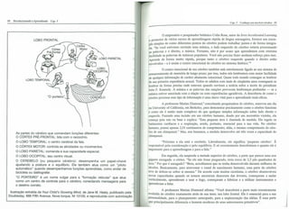 Revolucionando o aprendizado 
