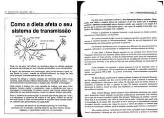 Revolucionando o aprendizado 