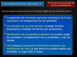 Las transformaciones agrícolas -3-Las transformaciones agrícolas -3-
La aparición de empresas agrícolas explotadas de forma
capitalista y la desaparición de los openfield.
La expulsión de muchos farmers, al pasar muchos
propietarios a trabajar las tierras con asalariados.
Disminución de la pequeña propiedad: no pueden pagar
los cercados o la legalización de su propiedad, y han de
vender.
Los cottagers (campesinos sin tierra) empeoran sus
condiciones de vida, ya que ahora no pueden pastar sus
animales, ni coger leña ni cazar.
Las principales consecuencias en el campo inglés por los cercados fueron:
El proceso de cercamiento deEl proceso de cercamiento de
las tierra (las tierra (enclosuresenclosures))
 