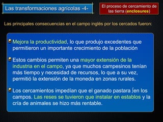 Las transformaciones agrícolas -4-Las transformaciones agrícolas -4-
Las principales consecuencias en el campo inglés por los cercados fueron:
Mejora la productividad, lo que produjo excedentes que
permitieron un importante crecimiento de la población
Estos cambios permiten una mayor extensión de la
industria en el campo, ya que muchos campesinos tenían
más tiempo y necesidad de recursos, lo que a su vez,
permitió la extensión de la moneda en zonas rurales.
Los cercamientos impedían que el ganado pastara ∫en los
campos. Las reses se tuvieron que instalar en establos y la
cría de animales se hizo más rentable.
El proceso de cercamiento deEl proceso de cercamiento de
las tierra (las tierra (enclosuresenclosures))
 