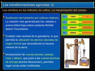 Las transformaciones agrícolas -5-Las transformaciones agrícolas -5-
Los cambios en los métodos de cultivo. La mecanización del campo:
Sustitución del barbecho por cultivos rotativos.
La rotación más generalizada fue: cebada o
avena-trébol-trigo-nabos (sistema Norfolk
delord Townshend).
Cuidado más racional de la ganadería, lo que
permitía la utilización de abonos naturales de
origen animal que reconstituían la riqueza
mineral de la tierra.
Incorporación de nuevas plantas: patatas,
maíz y tabaco, que junto a las nuevas técnicas
de drenaje (bomba Newcomen), permiten
regar zonas antes inutilizadas.
 