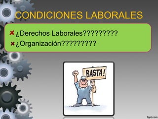 CONDICIONES LABORALES
¿Derechos Laborales?????????
¿Organización?????????
 