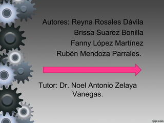 Autores: Reyna Rosales Dávila
Brissa Suarez Bonilla
Fanny López Martínez
Rubén Mendoza Parrales.
Tutor: Dr. Noel Antonio Zelaya
Vanegas.
 