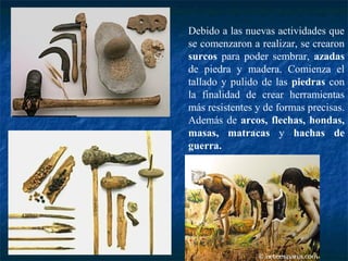 Debido a las nuevas actividades que
se comenzaron a realizar, se crearon
surcos para poder sembrar, azadas
de piedra y madera. Comienza el
tallado y pulido de las piedras con
la finalidad de crear herramientas
más resistentes y de formas precisas.
Además de arcos, flechas, hondas,
masas, matracas y hachas de
guerra.
 