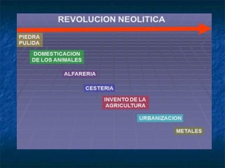 Revolucion neoltica 2