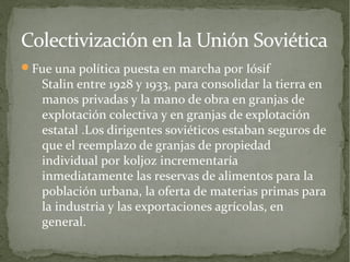 Colectivización en la Unión Soviética
Fue una política puesta en marcha por Iósif
   Stalin entre 1928 y 1933, para consolidar la tierra en
   manos privadas y la mano de obra en granjas de
   explotación colectiva y en granjas de explotación
   estatal .Los dirigentes soviéticos estaban seguros de
   que el reemplazo de granjas de propiedad
   individual por koljoz incrementaría
   inmediatamente las reservas de alimentos para la
   población urbana, la oferta de materias primas para
   la industria y las exportaciones agrícolas, en
   general.
 