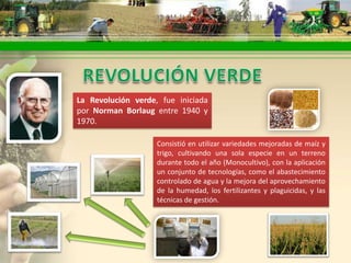 La Revolución verde, fue iniciada
por Norman Borlaug entre 1940 y
1970.

                    Consistió en utilizar variedades mejoradas de maíz y
                    trigo, cultivando una sola especie en un terreno
                    durante todo el año (Monocultivo), con la aplicación
                    un conjunto de tecnologías, como el abastecimiento
                    controlado de agua y la mejora del aprovechamiento
                    de la humedad, los fertilizantes y plaguicidas, y las
                    técnicas de gestión.
 