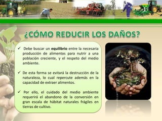  Debe buscar un equilibrio entre la necesaria
  producción de alimentos para nutrir a una
  población creciente, y el respeto del medio
  ambiente.

 De esta forma se evitará la destrucción de la
  naturaleza, lo cual repercute además en la
  capacidad de extraer alimentos.

 Por ello, el cuidado del medio ambiente
  requerirá el abandono de la conversión en
  gran escala de hábitat naturales frágiles en
  tierras de cultivo.
 