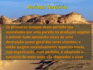 Os primeiros tempos deste período são
assinalados por uma parada na produção vegetal
e animal; tudo apresenta sinais de uma
destruição quase geral dos seres viventes; e
então surgem sucessivamente espécies novas,
cuja organização, mais perfeita, é adaptada à
natureza do meio onde são chamados a viver
 