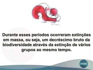 Durante esses períodos ocorreram extinções
em massa, ou seja, um decréscimo bruto da
biodiversidade através da extinção de vários
grupos ao mesmo tempo.
 