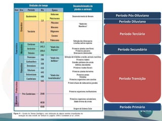 Período Primário
Período Transição
Período Secundário
Período Terciário
Período Diluviano
Período Pós-Diluviano
 