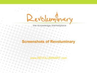 Screenshots of Revoluminary www.REVOLUMINARY.com 