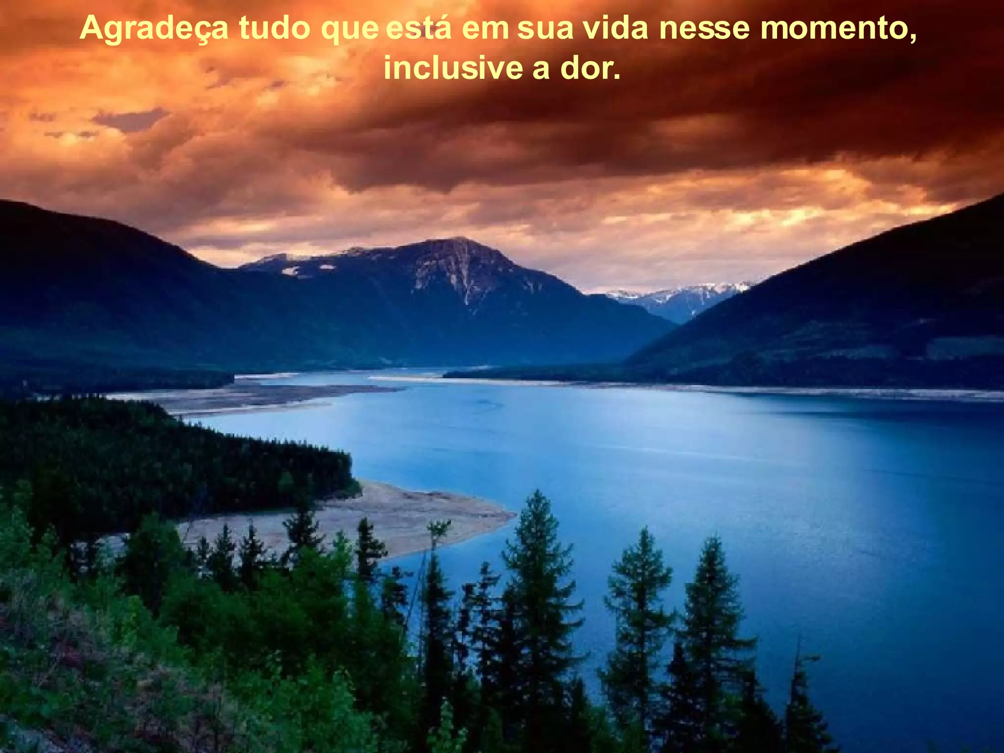 Agradeça tudo que está em sua vida nesse momento,  inclusive a dor. 