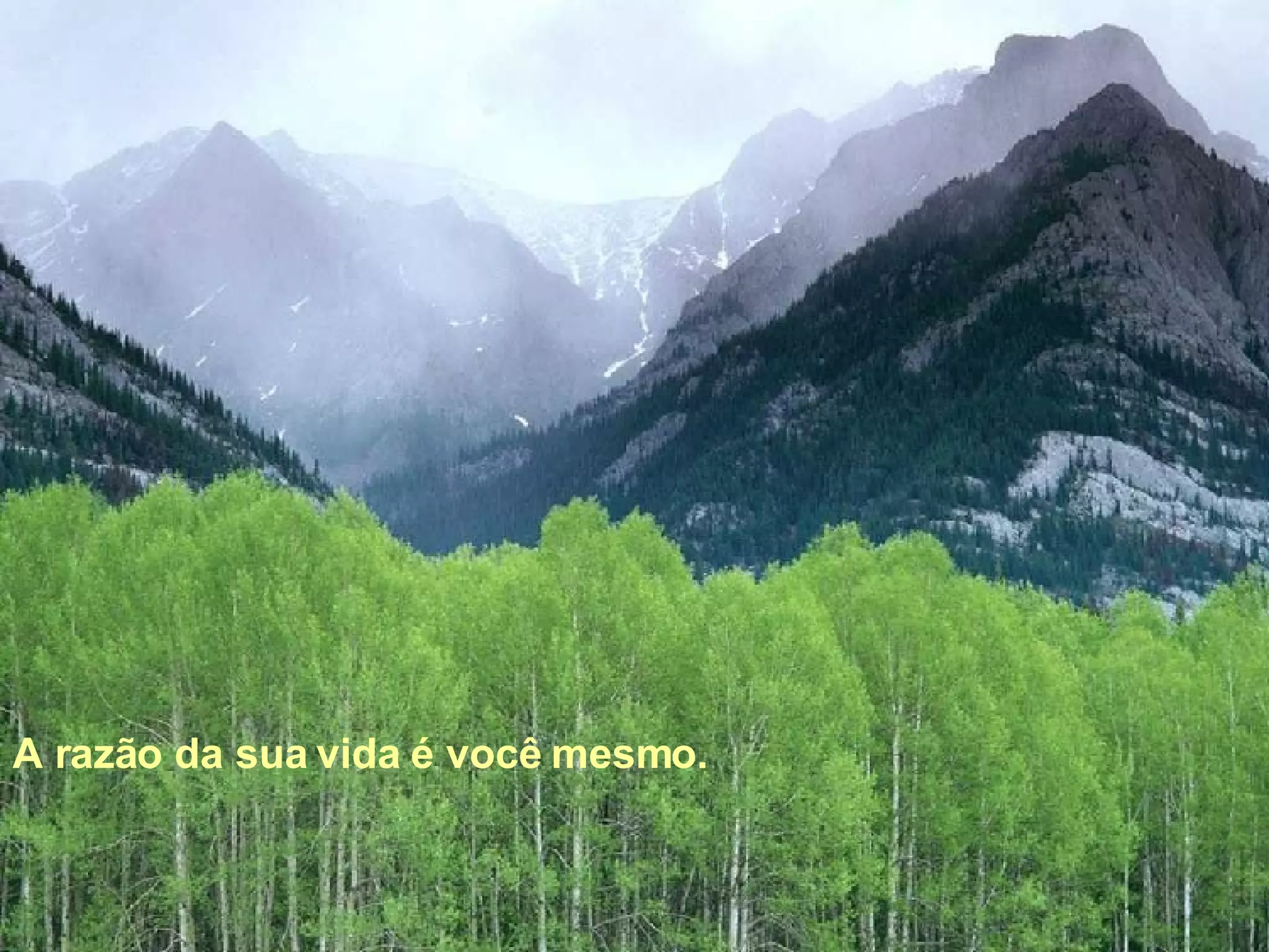 A razão da sua vida é você mesmo.   