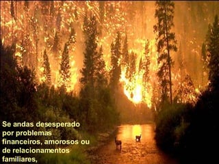 Se andas desesperado por problemas financeiros, amorosos ou de relacionamentos familiares,  