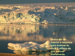 busca em teu interior a resposta para acalmar-te, você é reflexo do que pensas diariamente. 