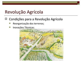 Revolução Agrícola
   Condições para a Revolução Agrícola
       Reorganização dos terrenos;
       Inovações Técnicas;
 