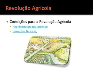  Condições para a Revolução Agrícola
 Reorganização dos terrenos;
 Inovações Técnicas;
 