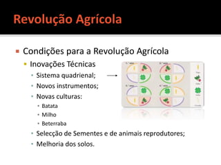  Condições para a Revolução Agrícola
 Inovações Técnicas
▪ Sistema quadrienal;
▪ Novos instrumentos;
▪ Novas culturas:
▪ Batata
▪ Milho
▪ Beterraba
▪ Selecção de Sementes e de animais reprodutores;
▪ Melhoria dos solos.
 