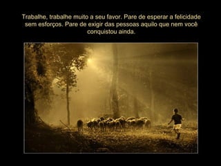 Trabalhe, trabalhe muito a seu favor. Pare de esperar a felicidade
sem esforços. Pare de exigir das pessoas aquilo que nem você
conquistou ainda.
 